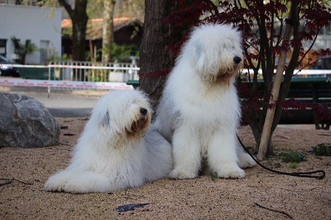 Lola And Co - PAU