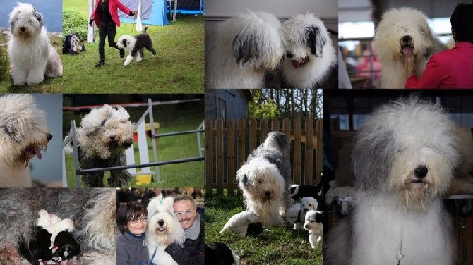 Lola And Co - excellente année 2016