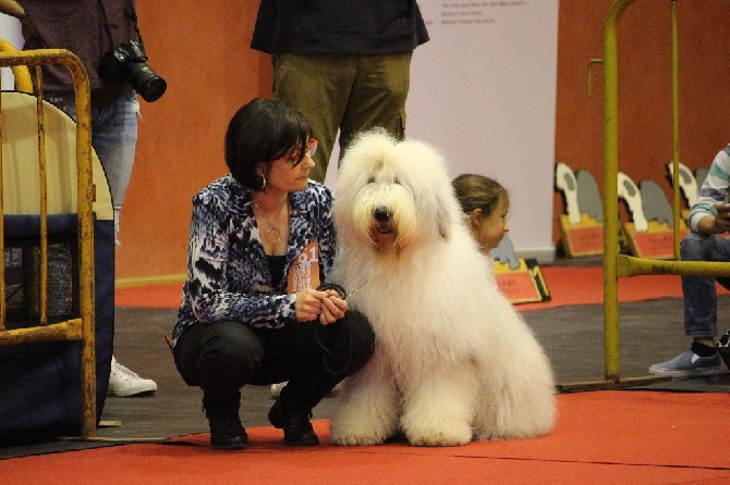 Lola And Co - EURO OES SHOW espagne