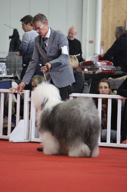 Lola And Co - ROCK'N BOB Joe Cocker CHAMPION INTERNATIONAL